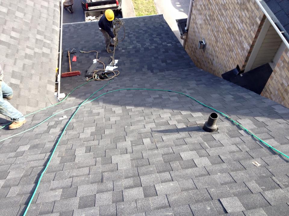 Shingle Roof - Ace Roofing Services Inc.