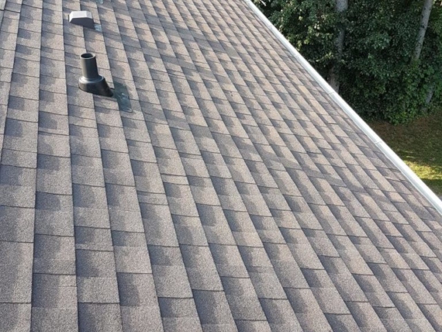Shingle Roof - Ace Roofing Services Inc.