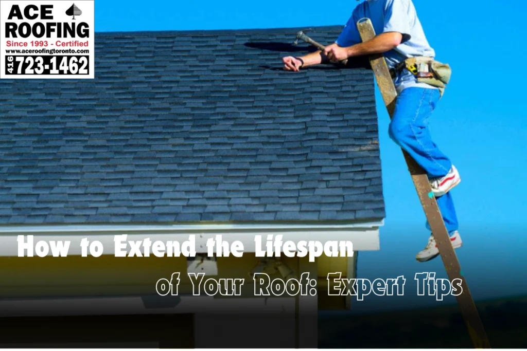 How to Extend the Lifespan of Your Roof: Expert Tips