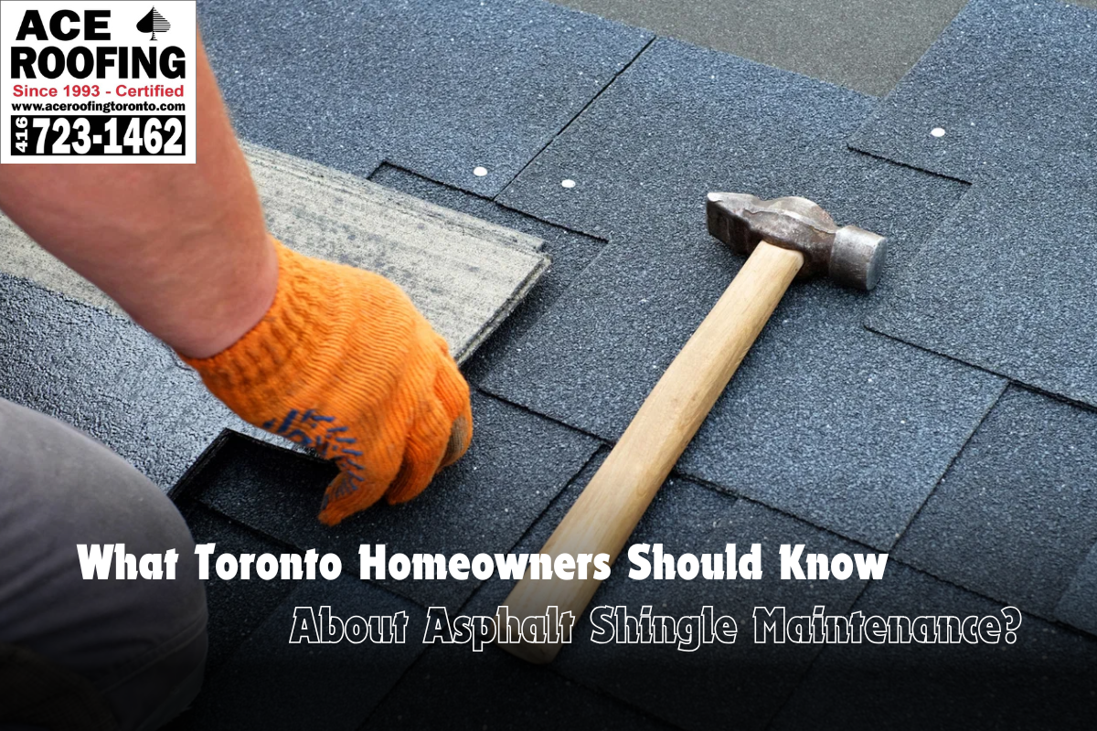 What Toronto Homeowners Should Know About Asphalt Shingle Maintenance?