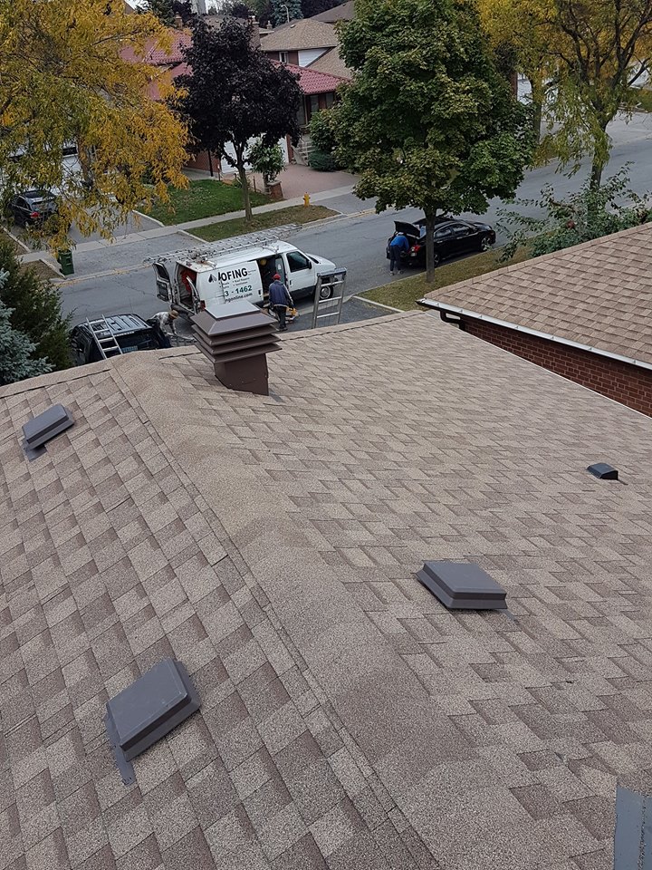 shingle roofing