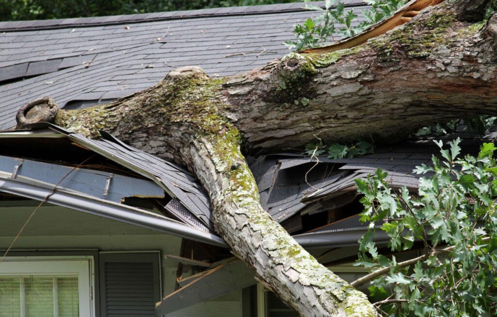 Emergency-Roofing-Repair-Toronto (3) Tree fallen on damaged roof