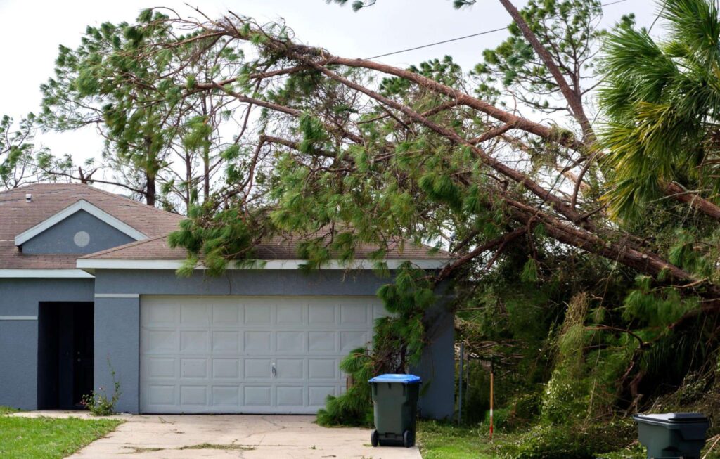 Emergency-Roofing-Repair-Toronto (4) Tree fallen on house garage