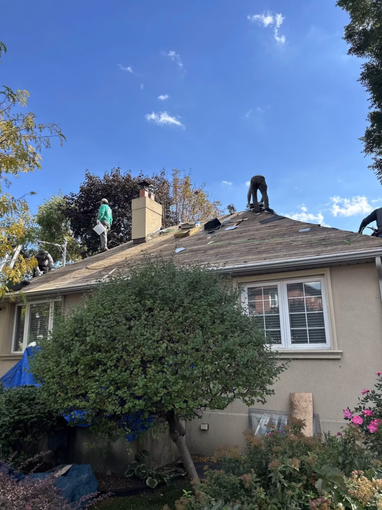 Complete shingle roof replacement with flashing and ventilation upgrades - 3